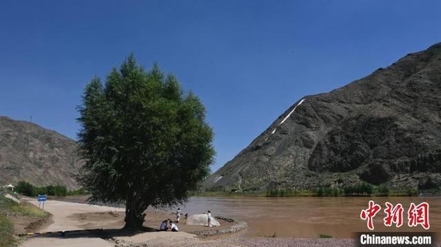 高山脚下，黄河岸边，孩子们在大柳树码头的树荫下嬉戏游玩。凌学敏 胡珊珊 摄 