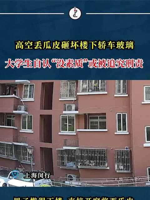 "是我素质太差"!男子高空扔西瓜皮砸坏汽车被追刑责