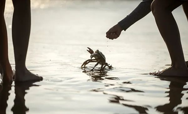       图源：视觉中国 