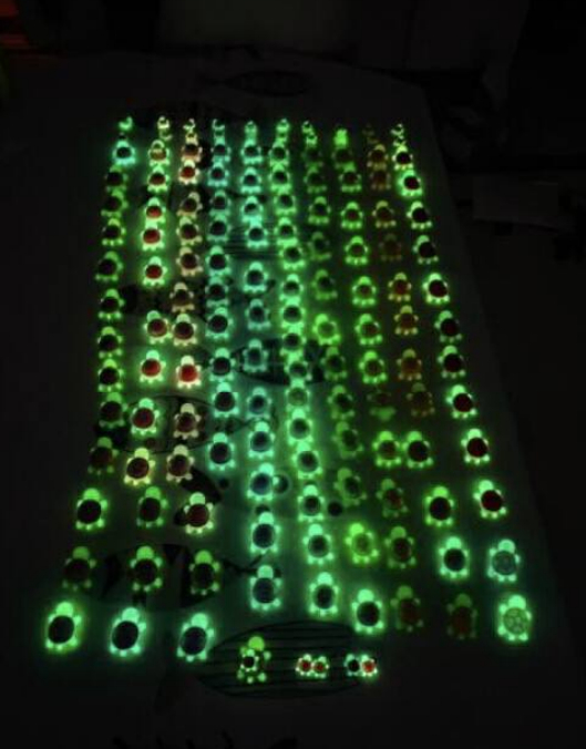       图源：小红书@不晚 