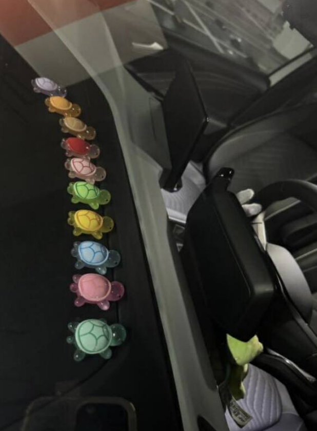       图源：小红书@大大大大大大大