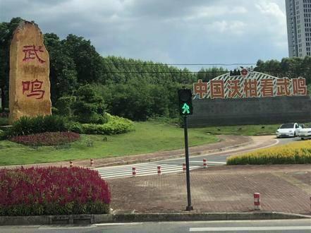 武鸣大学城首批学生已返校,可惜又要开始上课了