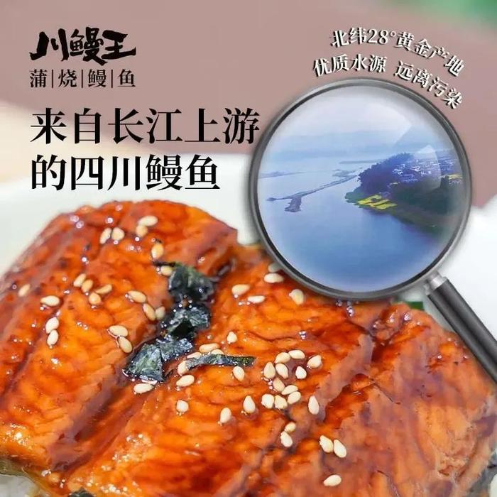 川鳗王蒲烧鳗鱼,肉质饱满鲜嫩,几乎无刺感!