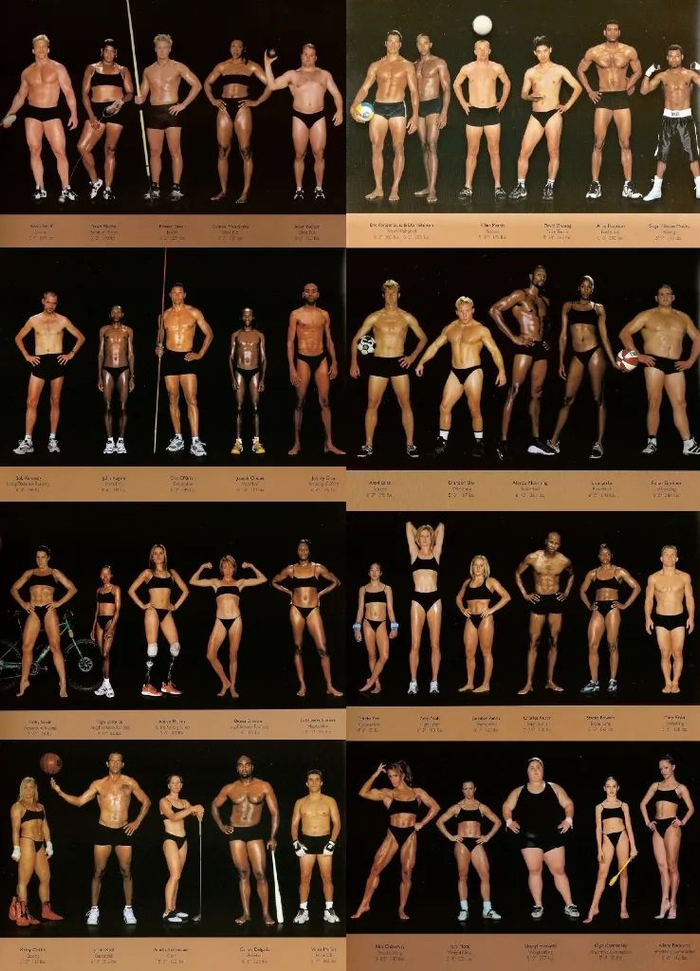 〓 图片来源：Howard Schatz