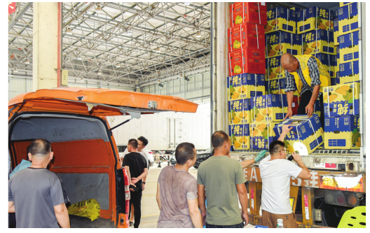 采购商在南宁江楠国际水果交易市场采购榴莲。本报记者黄红锦 摄