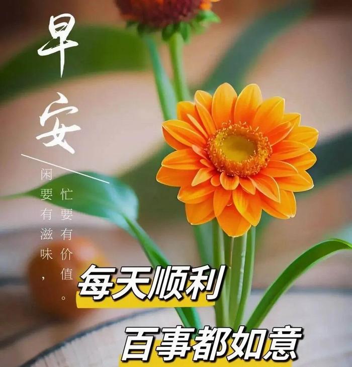 今日精选早安问候祝福图片带字