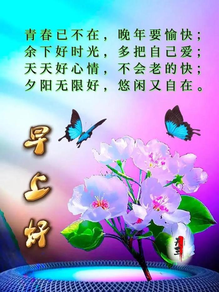 文字问早上好图片