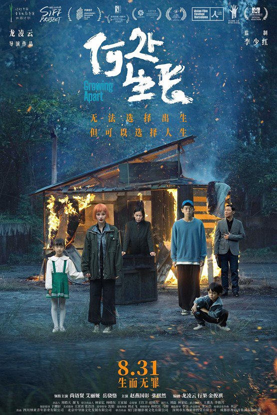 《何处生长》海报