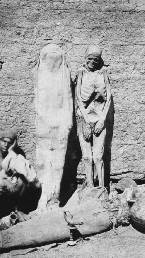 1865年,埃及街头当街贩卖木乃伊的小贩,欧洲人相信木乃伊能治病