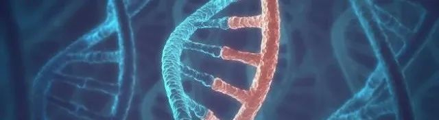 图片来源：123RF