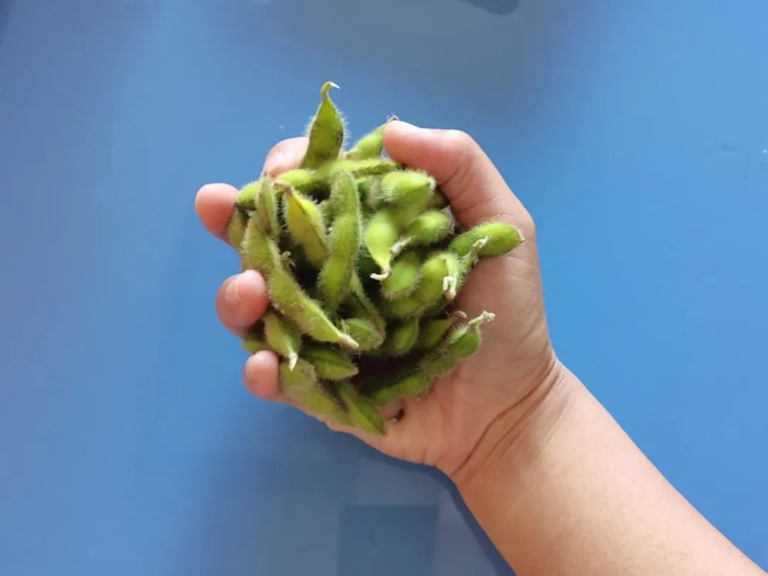图：1 把毛豆（可食部约 50 克）