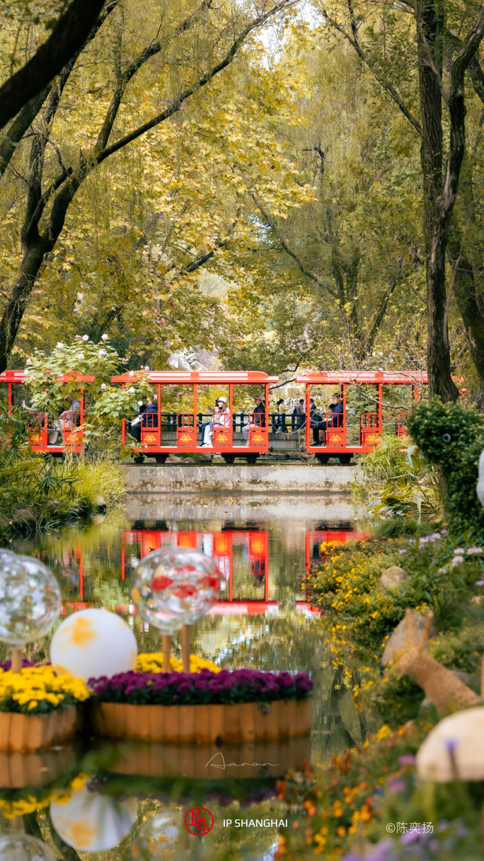 【探索】上海这些公园你都认识吗?测测你能答对几题