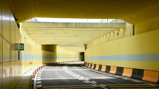 图片来源：广州日报