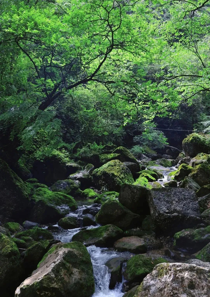 图据青城山都江堰