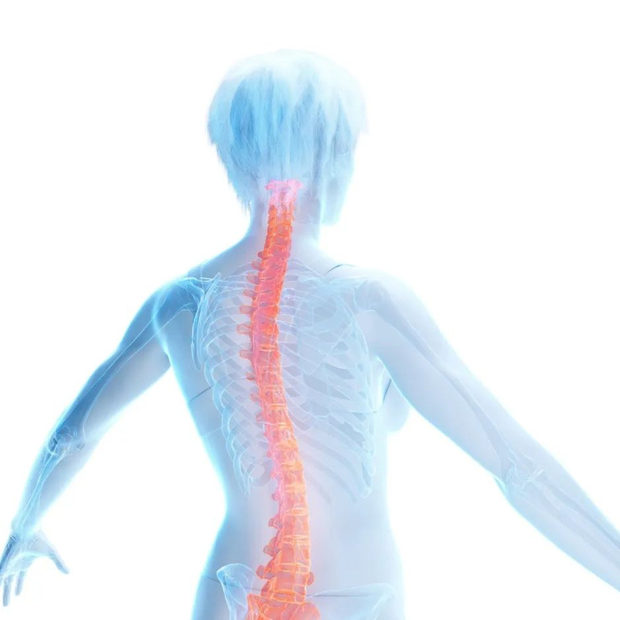 图库版权图片，转载使用可能引发版权纠纷