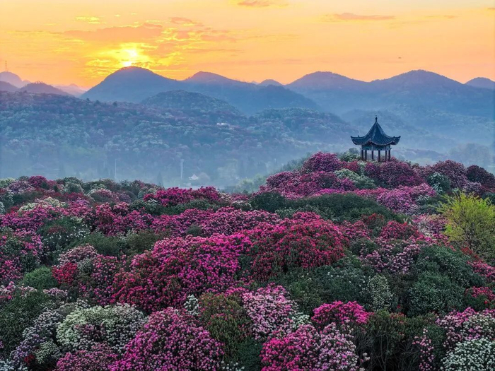 图据毕节市人民政府