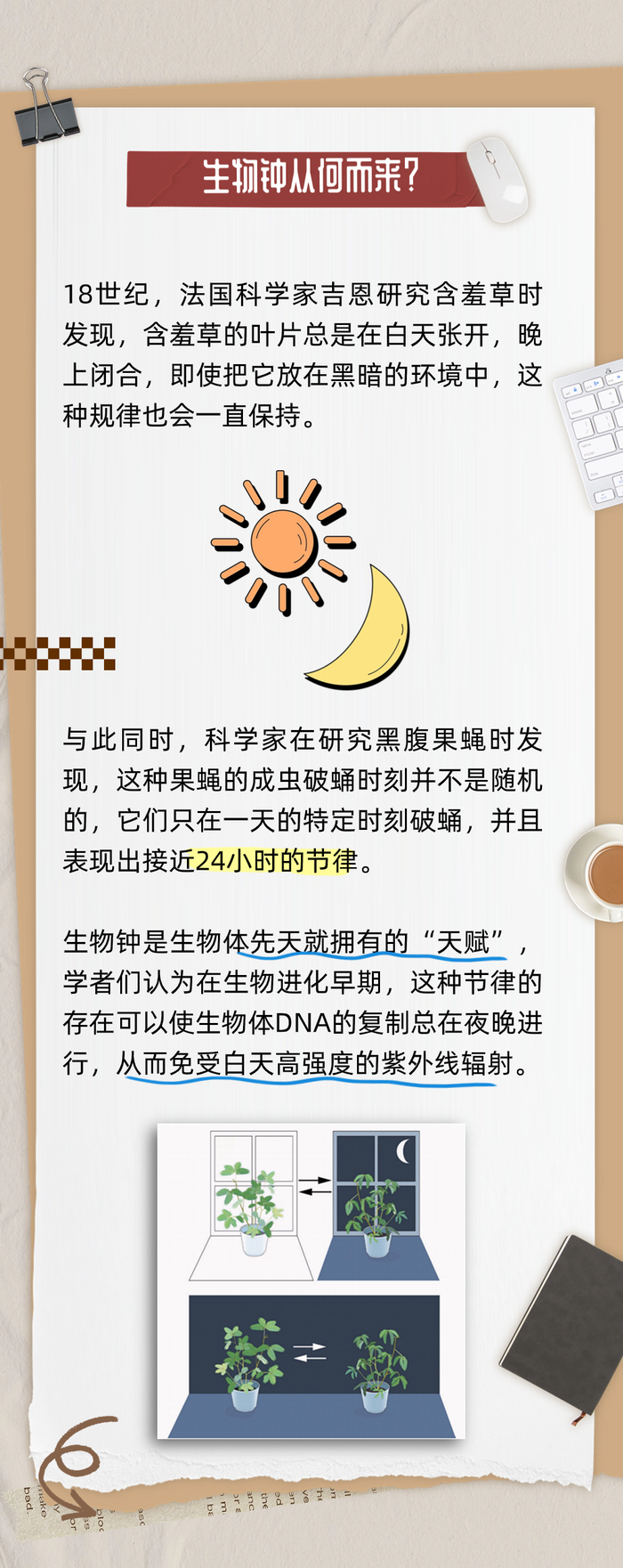 "颠倒黑白"的假期生活,如何拯救紊乱的生物钟?