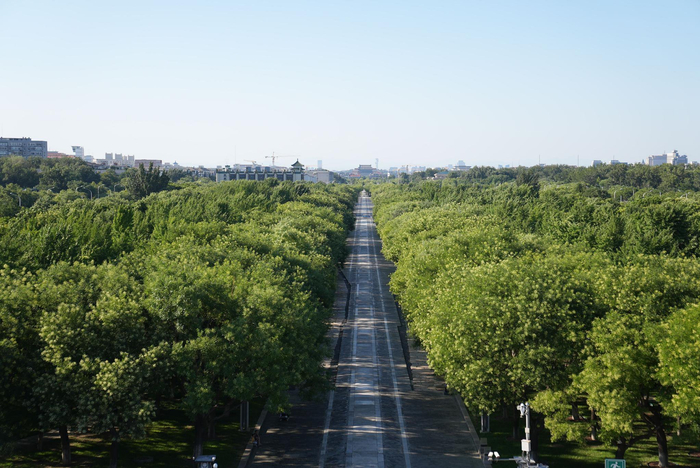 7月17日，中轴线南段道路遗存。新京报记者 浦峰 摄