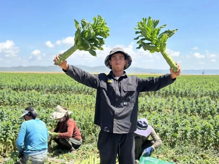 在雅安做果蔬生意的徐桃。杨怡 摄