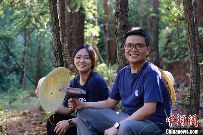 (乡村行·看振兴)福建寿宁筑巢回引"新农人" 助力乡村人才振兴