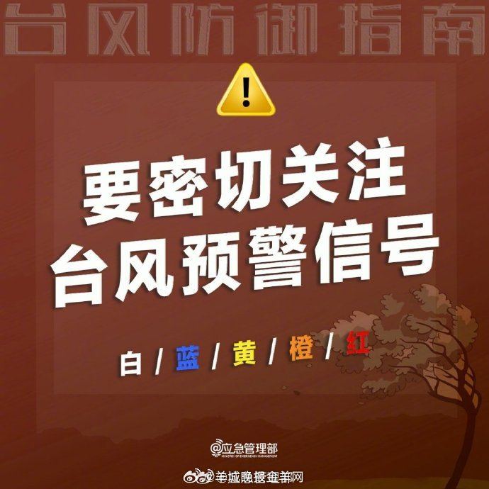 转发提醒!台风天实用防御应对指南