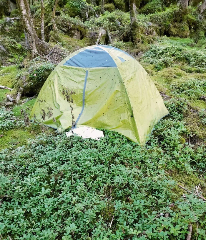 想买辆电动车和“驴友”们一起集结骑行,大家都在骑什么车呀?