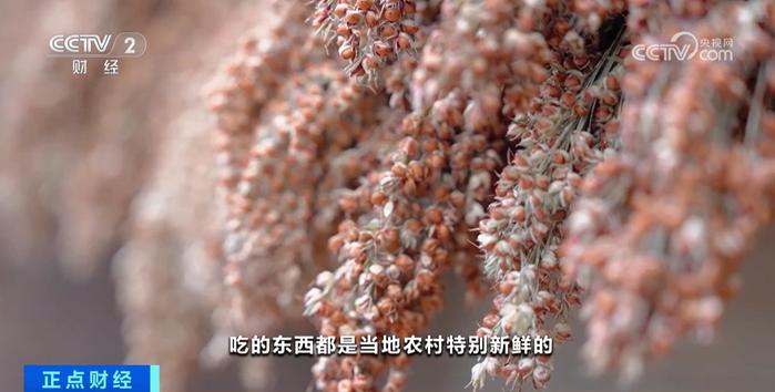 迎八方来客享特色小吃 贵州仡佬族“吃新节”载歌载舞庆丰收-第3张图片-特色小吃