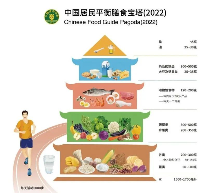 均衡饮食的参考  | 图片来自中国居民膳食指南