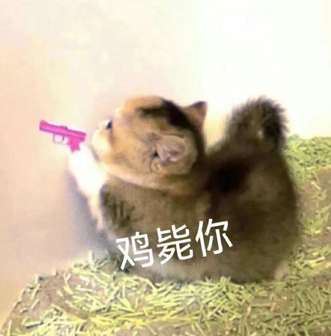 表情包又更新了,拿图互动 莫?