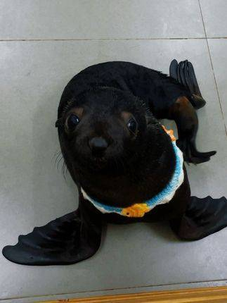 小小的黑乎乎一团,我得调亮高光才能看清它?在零距离