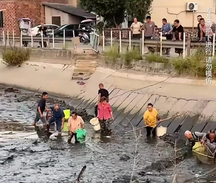 村民进入鱼塘捕鱼。图源：当事人社交帐号