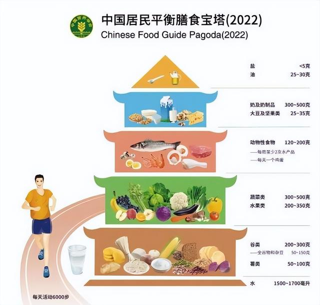 均衡饮食的参考| 图片来自中国居民膳食指南