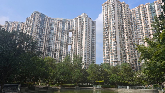 本文图片均为上观新闻 图