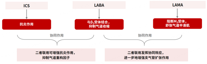 图3：ICS/LABA/LAMA三联吸入治疗的协同作用机制