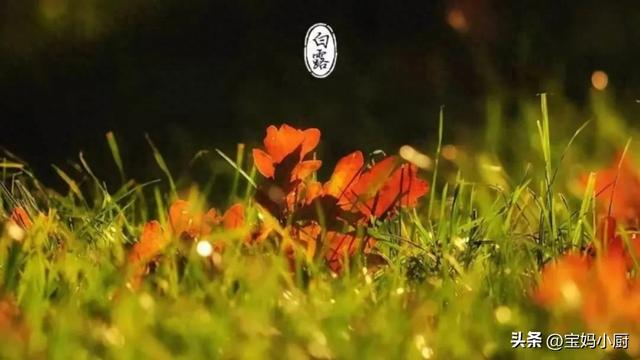 “白露吃3宝，秋冬无困扰”，白露节气，再忙别忘吃3宝，健康过秋-白露吃啥比较好
