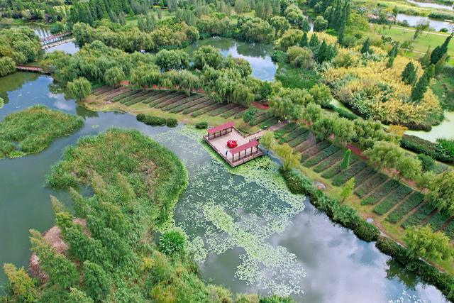 昆明滇池旁有一处宝丰湿地，环境优美，风景如画，是休闲游好去处|昆明市|宝丰湿地公园|云南省|芦苇|公园_新浪新闻