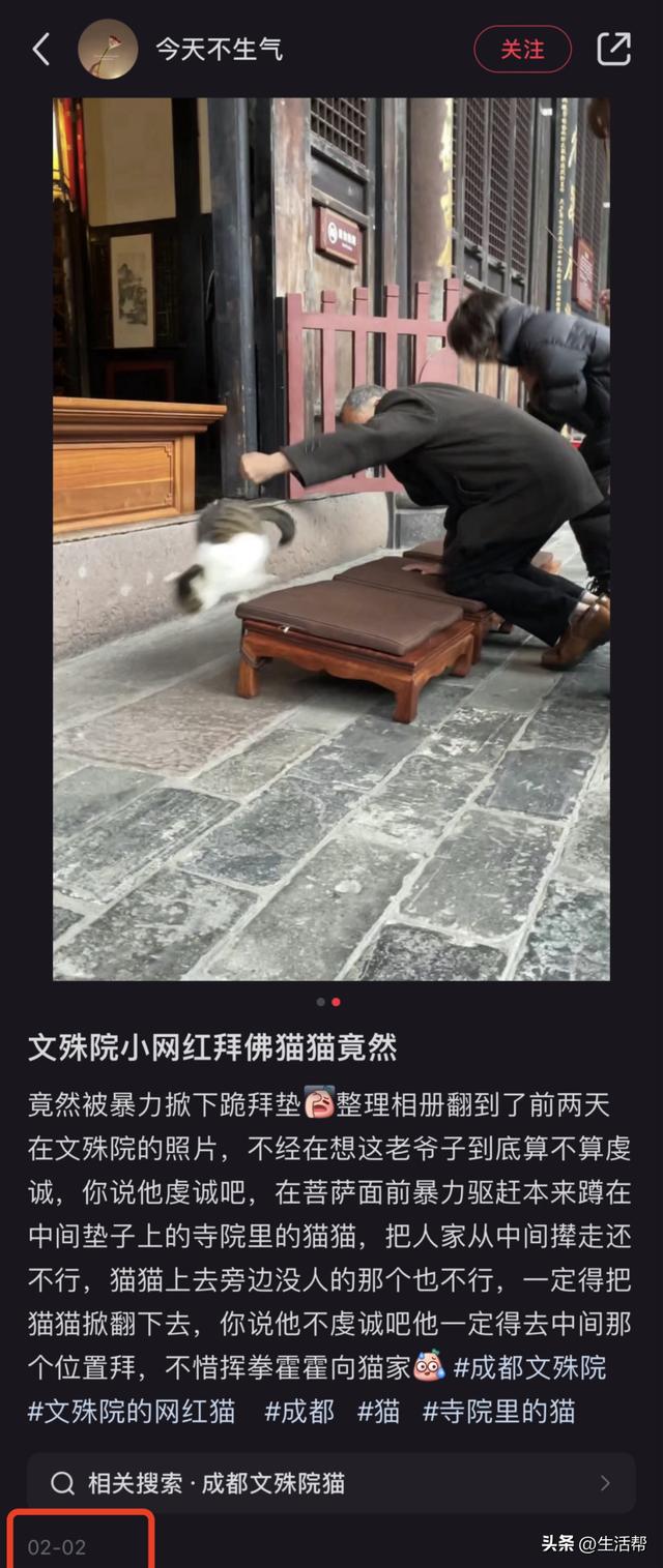 nekoda猫打图片