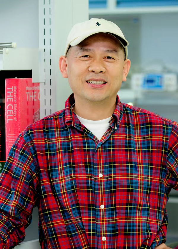 Adv Sci：张生家团队在内嗅皮层发现精细的新型大脑指南针__财经头条__新浪财经