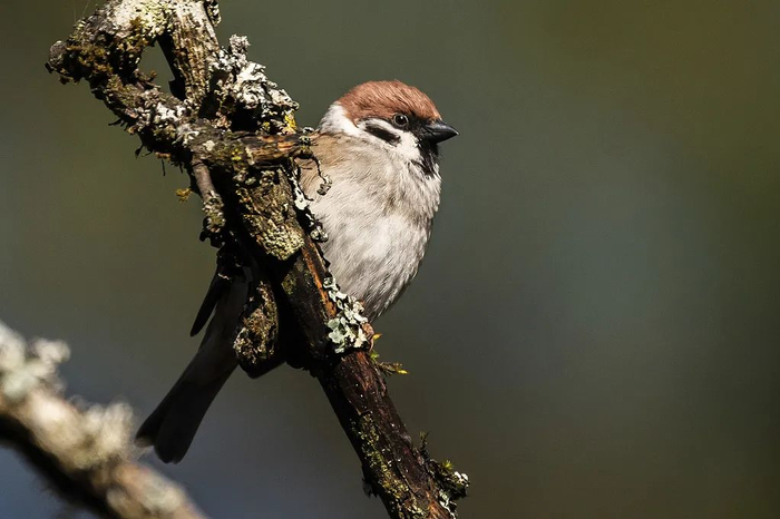 图片来源：视觉中国