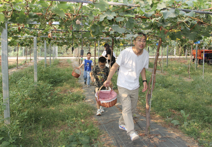 （鄠邑区农业局 供图）