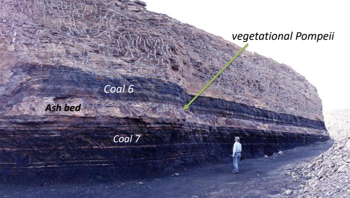 含化石层。中国科学院南京地质古生物研究所供图