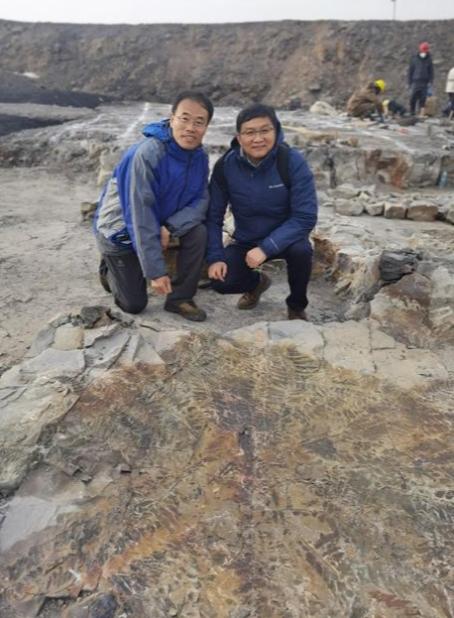 王军（左）在“植物庞贝城”发掘现场。中国科学院南京地质古生物研究所供图