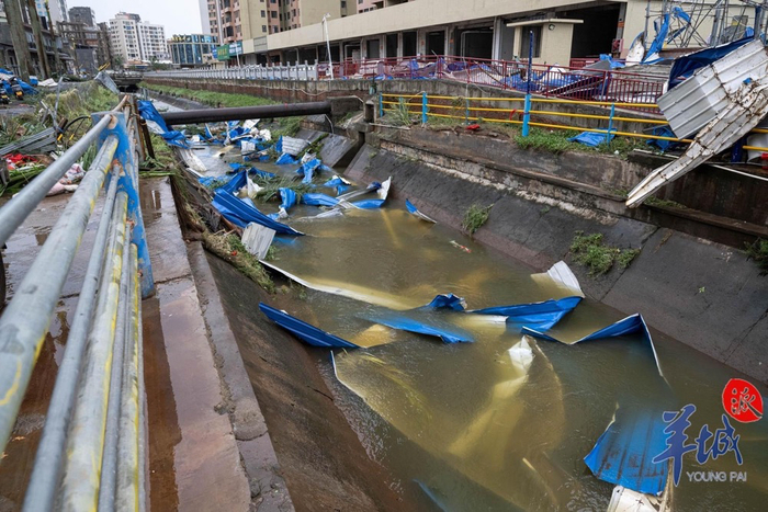 台风对徐闻县造成诸多破坏