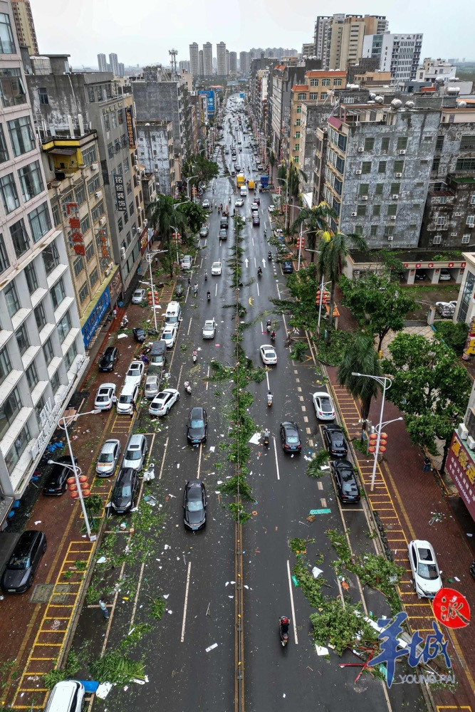 9月7日上午，台风过境后的徐闻县街道