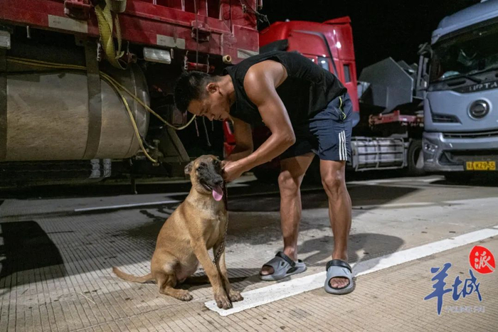 司机赵师傅携带他的宠物犬一同前往安置点