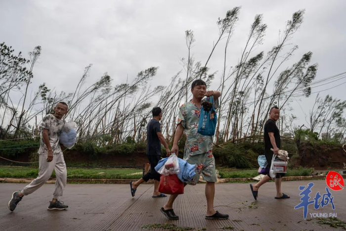 货车司机们正步行走回货车停放点的路上，身后的树木被台风吹得东倒西歪