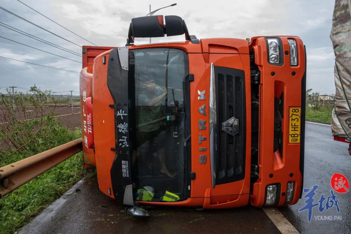 台风过后，司机进入被吹翻的货车内寻找物品