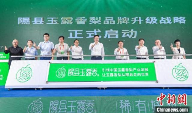 隰县玉露香梨品牌升级战略发布会现场。任丽娜 摄