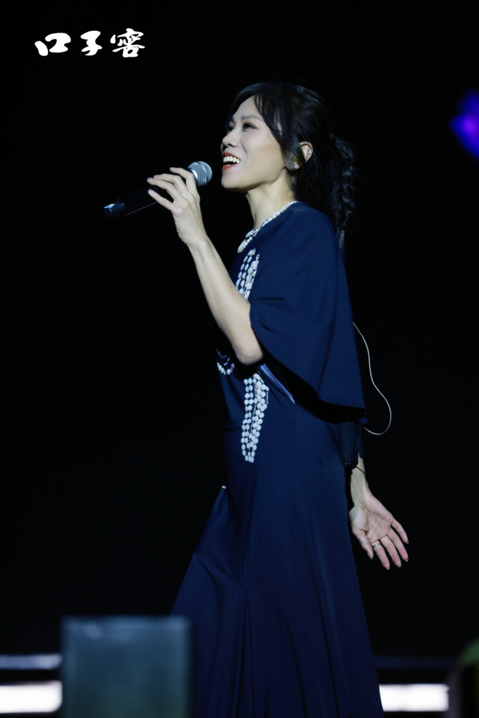 △ 蔡健雅演唱《被驯服的象》 △