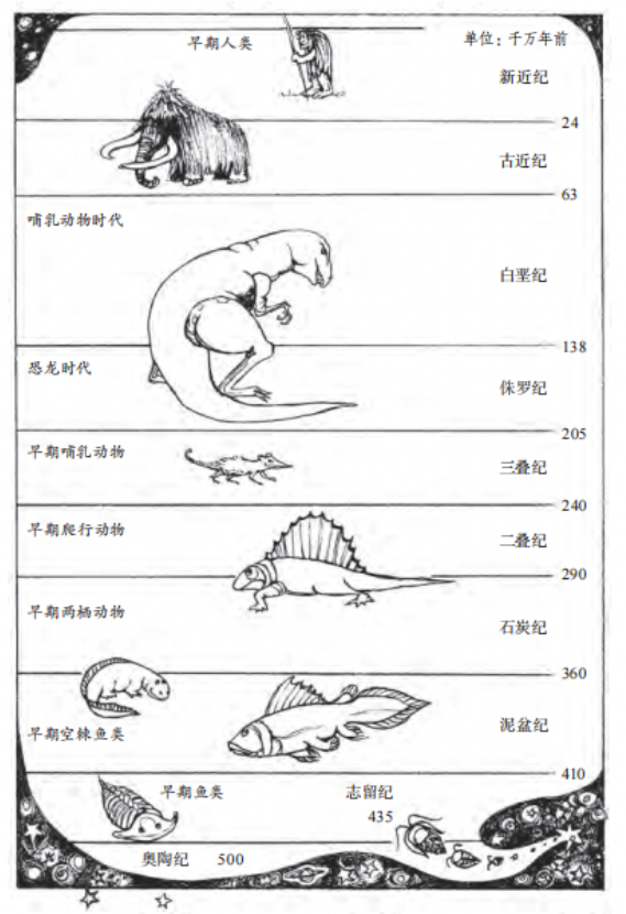 脊椎动物演化时间线。图| 凯瑟琳·G.麦科德绘制